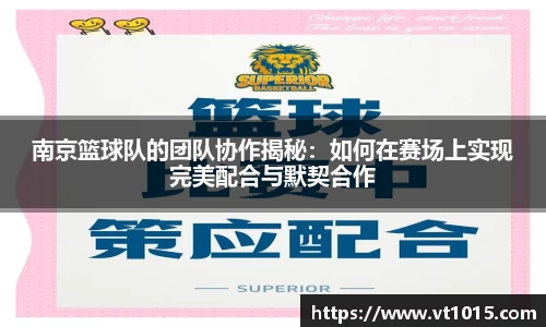 南京篮球队的团队协作揭秘：如何在赛场上实现完美配合与默契合作